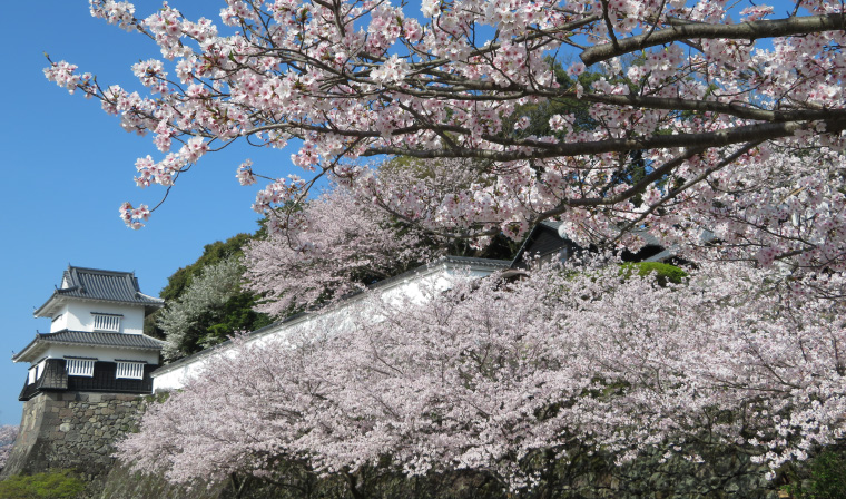 さくら名所百選 大村公園